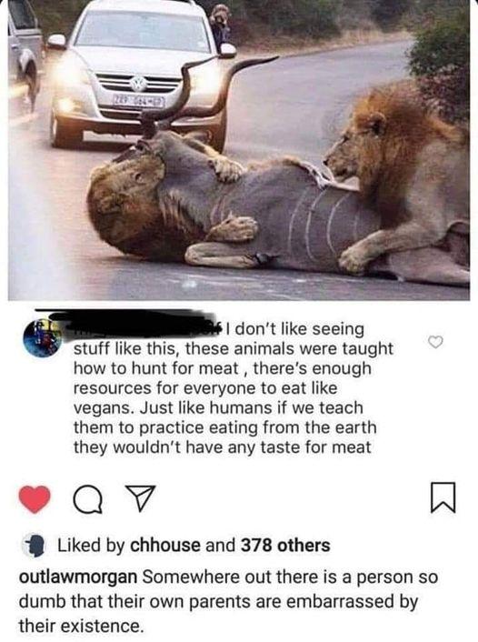 I dont like seeing stuff like this these animals were taught how to hunt for meat theres enough resources for everyone to eat like vegans Just like humans if we teach them to practice eating from the earth they wouldnt have any taste for meat Qv W Liked by chhouse and 378 others outlawmorgan Somewhere out there is a person so dumb that their own parents are embarrassed by their existence