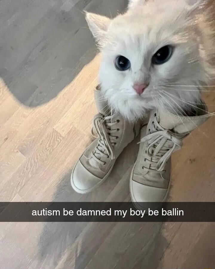 autism be damned my boy be ballin