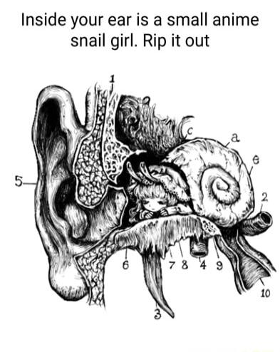 Inside your ear is a small anime snail girl Rip it out