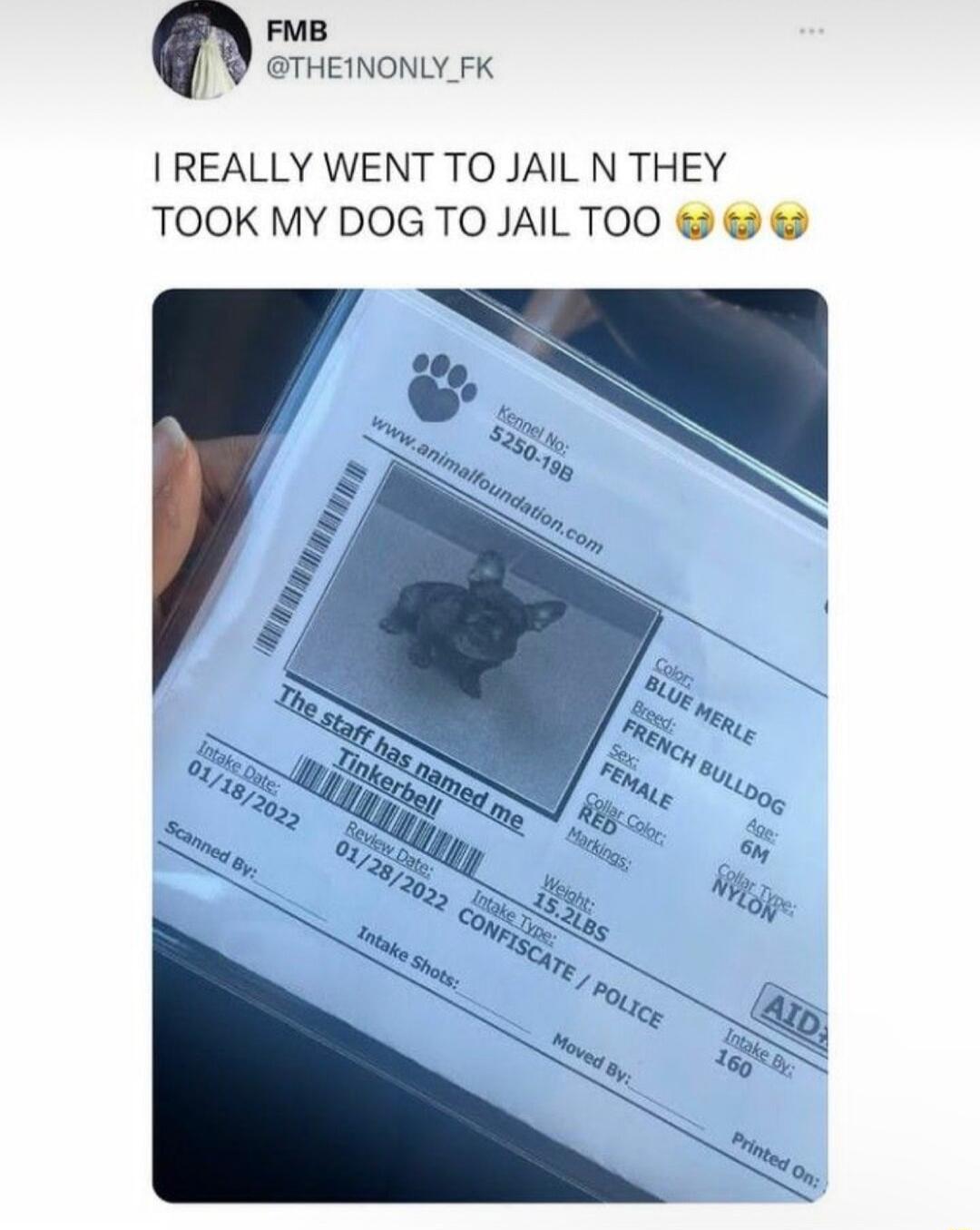 FMB THEINONLY_FK REALLY WENT TO JAIL N THEY TOOK MY DOG TO JAIL TOO