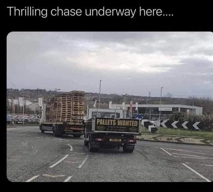 Paul Eaton GannetPaul Thrilling chase underway here