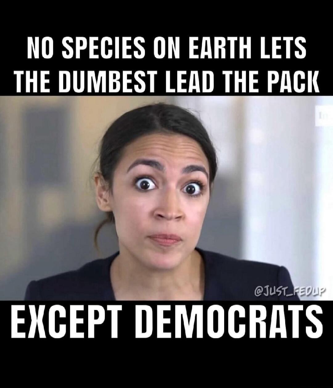 NO SPECIES ON EARTH LETS THE DUMBEST LEAD THE PACK EXCEPT DEMOCRATS