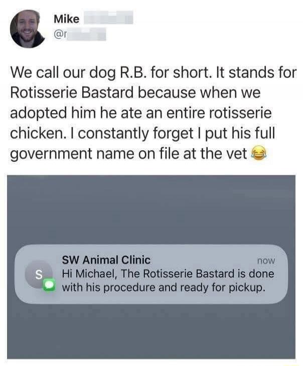 We call our dog R.B. for short. It stands for Rotisserie Bastard because when we adopted him he ate an entire rotisserie chicken. I constantly forget I put his full government name on file at the vet 😂

SW Animal Clinic now: Hi Michael, The Rotisserie Bastard is done with his procedure and ready for pickup.