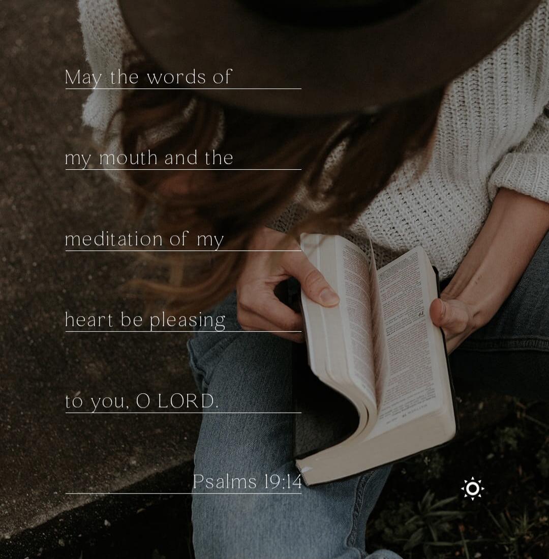 May the words of my mouth and the meditation of my heart be pleasing to you, O LORD. Psalms 19:14