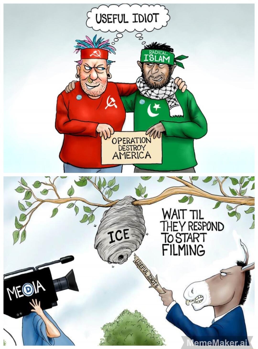 Useful Idiot. Operation Destroy America. MEDIA. ICE. Wait til they respond to start filming. Radical Islam.