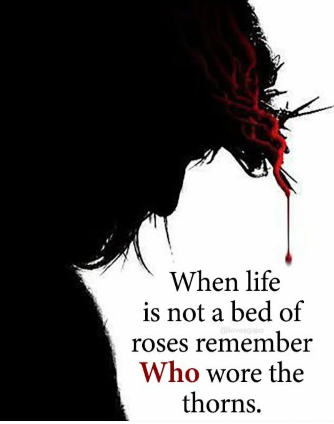 When life is not a bed of roses remember Who wore the thorns.