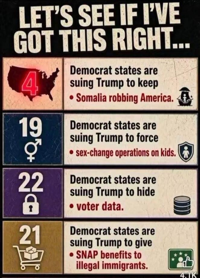 LET'S SEE IF I'VE GOT THIS RIGHT... 4 Democrat states are suing Trump to keep Somalia robbing America. 19 Democrat states are suing Trump to force sex-change operations on kids. 22 Democrat states are suing Trump to hide voter data. 21 Democrat states are suing Trump to give SNAP benefits to illegal immigrants.