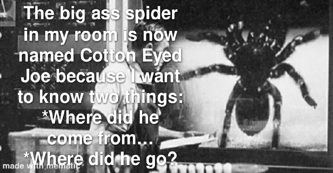 The big ass spider in my room is now named Cotton Eyed Joe because I want to know two things:\n*Where did he come from...\n*Where did he go?