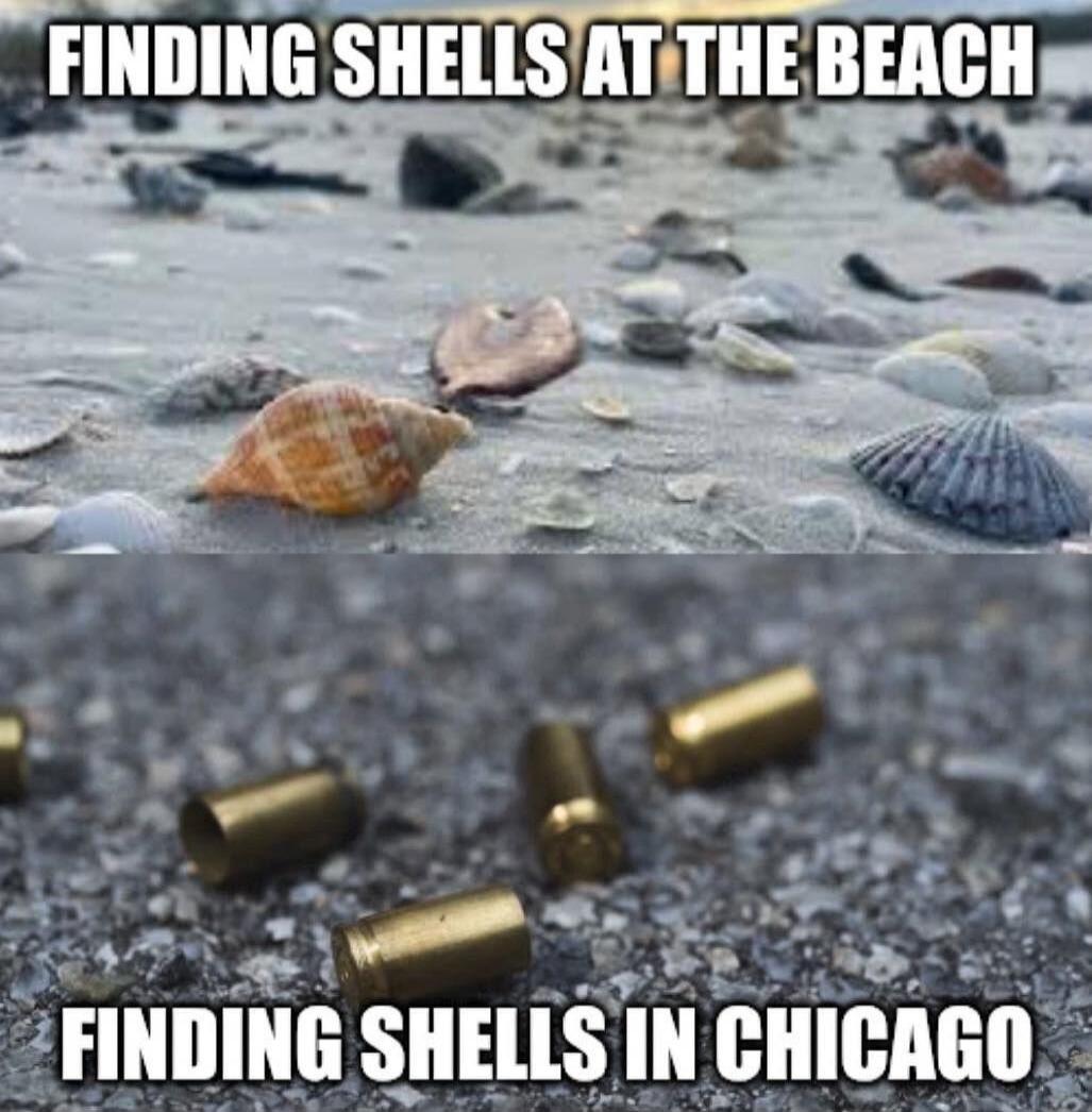 FINDING SHELLS AT THE BEACH
FINDING SHELLS IN CHICAGO