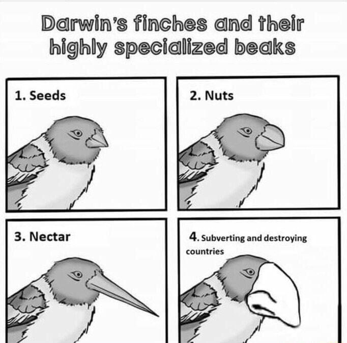 Darwins finches and their highly specialized beaks 4 subverting and destroying countries