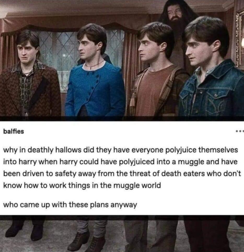 balfies why in deathly hallows did they have everyone polyjuice themselves into harry when harry could have polyjuiced into a muggle and have been driven to safety away from the threat of death eaters who dont know how to work things in the muggle world who came up with these plans anyway