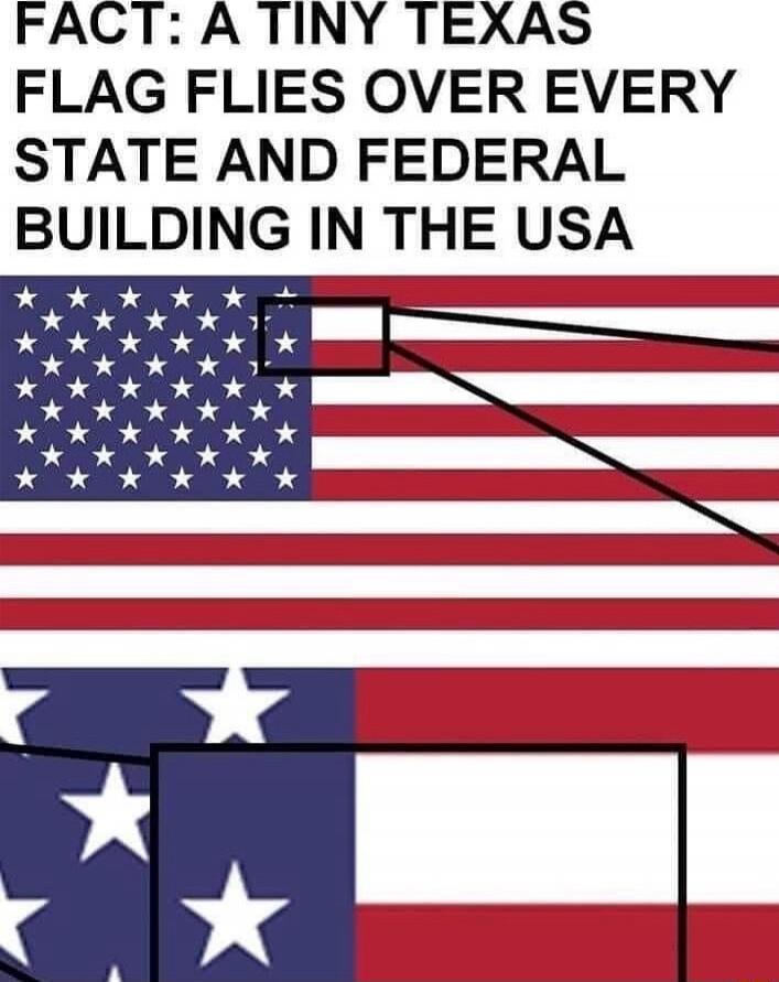 FACT: A TINY TEXAS FLAG FLIES OVER EVERY STATE AND FEDERAL BUILDING IN THE USA