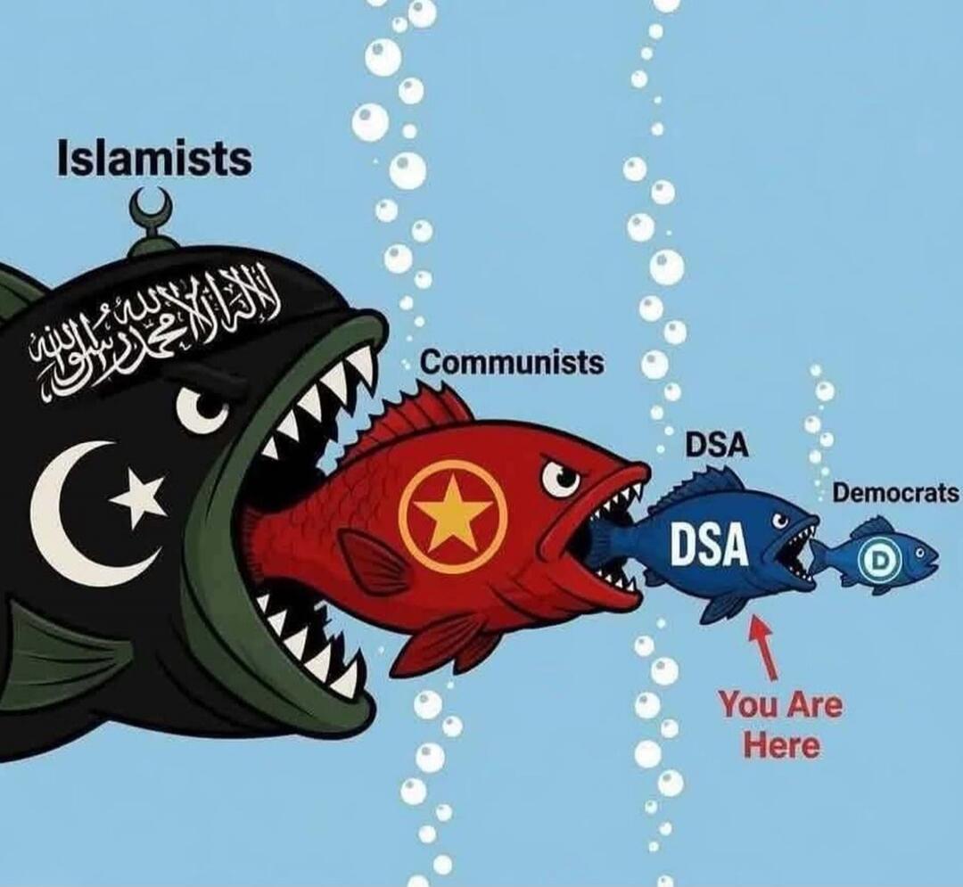 The image shows a 'food chain' of fish. The largest fish, labeled 'Islamists' and featuring an Islamic crescent moon and star and Arabic script (Shahada), is eating a red fish labeled 'Communists' with a yellow star symbol. The 'Communists' fish is eating a blue fish labeled 'DSA' (Democratic Socialists of America). The 'DSA' fish is eating a small