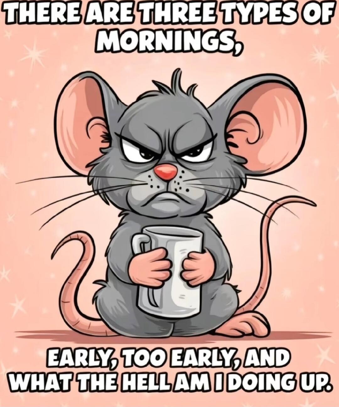 THERE ARE THREE TYPES OF MORNINGS, EARLY, TOO EARLY, AND WHAT THE HELL AM I DOING UP.