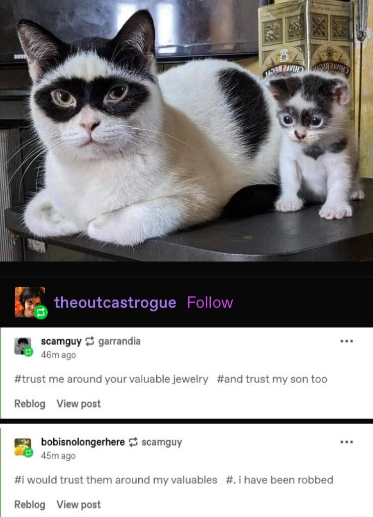 B ooy gamandis Reblog Vi 3 bobienclongerhers scamguy Reblog