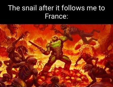 The snail after it follows me to France