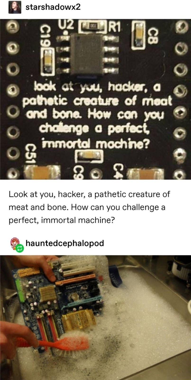 Look at you hacker a pathetic creature of meat and bone How can you challenge a perfect immortal machine hauntedcephalopod