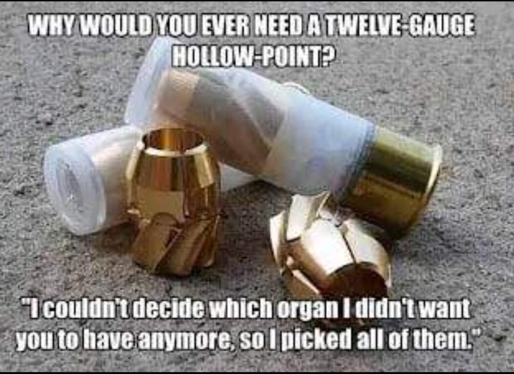 WHYWOULDYOU EVER NEED A FWELVEGAUGE FHOLLOW POINT