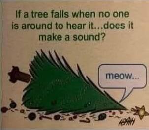 If a tree falls when no one is around to hear it...does it make a sound? meow...