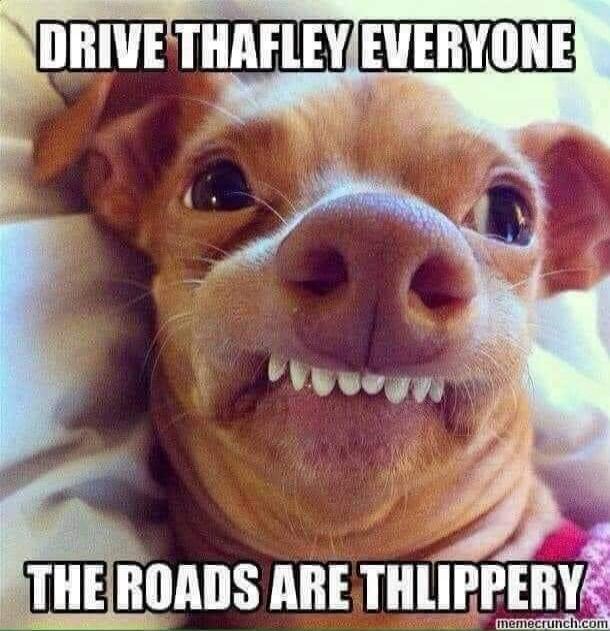 DRIVE THAFLey EVERYONE
THE ROADS ARE THLIPPERY