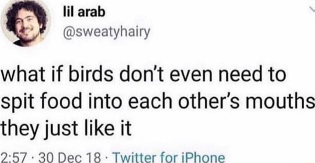 lil arab sweatyhairy what if birds dont even need to spit food into each others mouths they just like it 257 30 Dec 18 Twitter for iPhone