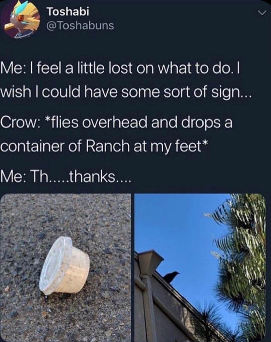 Toshabi 22W Toshabuns 2 VRN CEEN N oS Tela R aF f eXe WS al Kefele N g VYelpa K Telg de TTe g 0 Crow flies overhead and drops a container of Ranch at my feet Me Ththanks