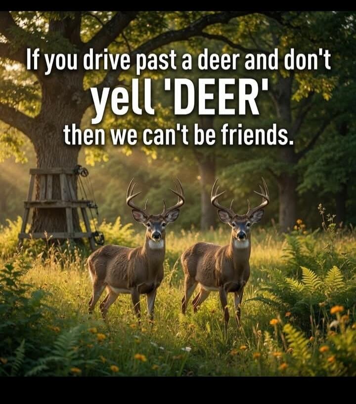 If you drive past a deer and don't yell 'DEER' then we can't be friends.