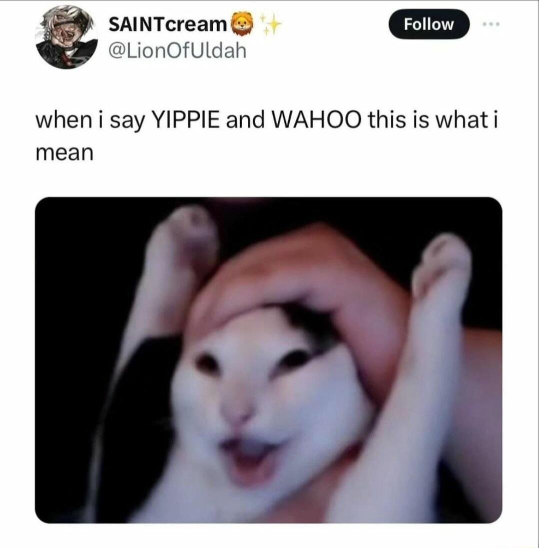 3 SAINTcream Foiiow LionOfUldah when i say YIPPIE and WAHOO this is what i mean