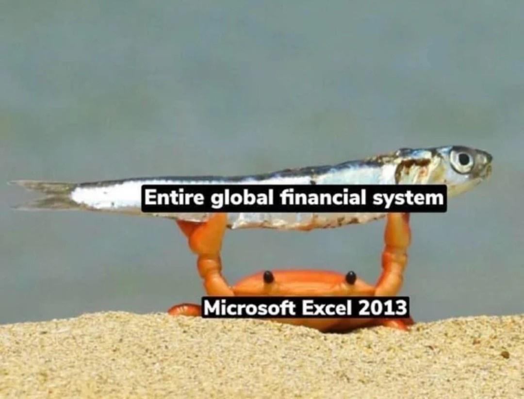 t e Microsoft Excel 2013