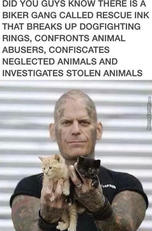 DID YOU GUYS KNOW THERE IS A BIKER GANG CALLED RESCUE INK THAT BREAKS UP DOGFIGHTING RINGS CONFRONTS ANIMAL ABUSERS CONFISCATES NEGLECTED ANIMALS AND INVESTIGATES STOLEN ANIMALS