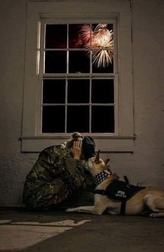 PTSD SERVICE DOG