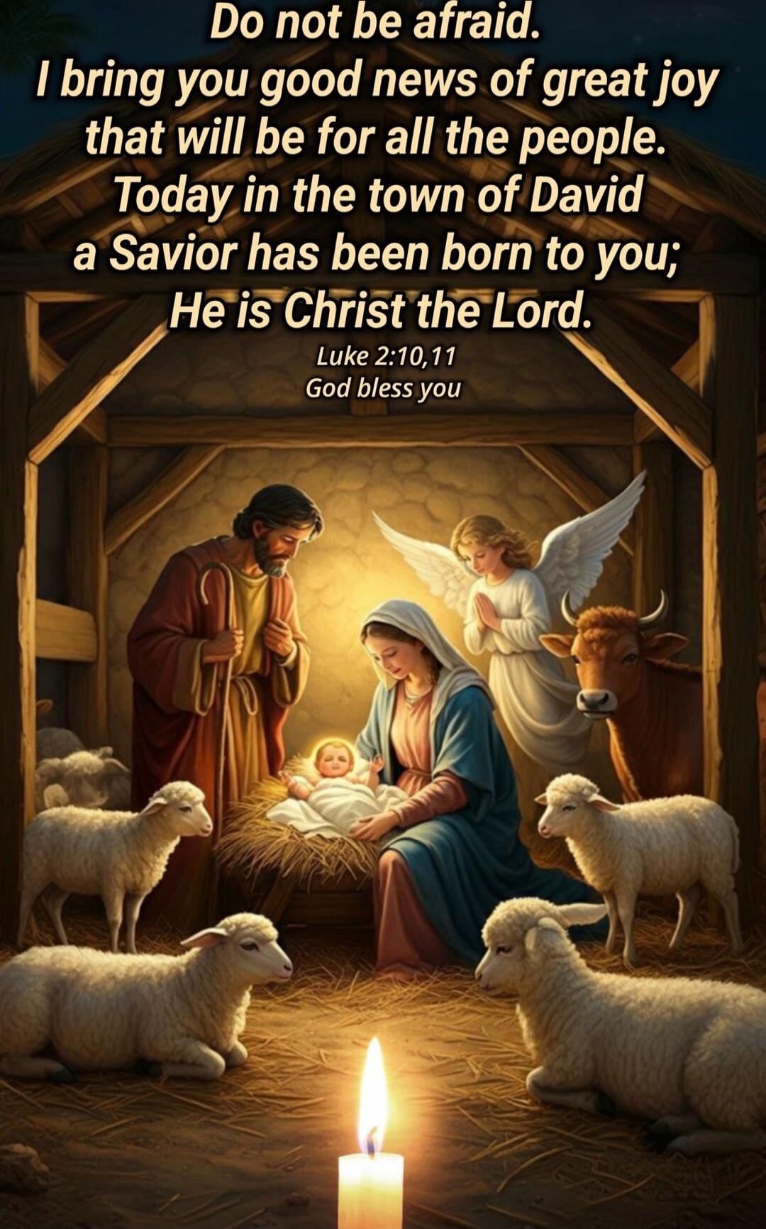 Do not be afraid. I bring you good news of great joy that will be for all the people. Today in the town of David a Savior has been born to you; He is Christ the Lord. Luke 2:10, 11 God bless you