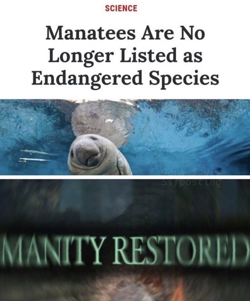 SCIENCE Manatees Are No Longer Listed as Endangered Species