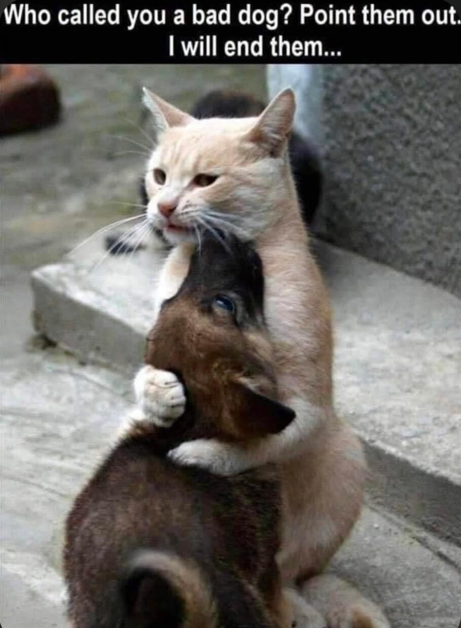 Who called you a bad dog? Point them out. I will end them...
