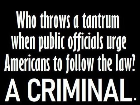 Who throws a tantrum when public officials urge Americans to follow the law? A CRIMINAL.