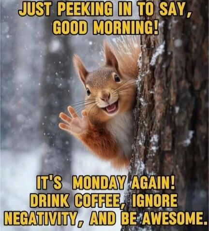 JUST PEEKING IN TO SAY, GOOD MORNING! IT'S MONDAY AGAIN! DRINK COFFEE, IGNORE NEGATIVITY, AND BE AWESOME.