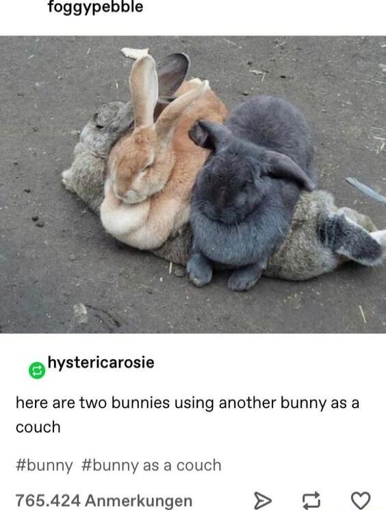 hystericarosie here are two bunnies using another bunny as a couch bunny bunny as a couch 765424 Anmerkungen