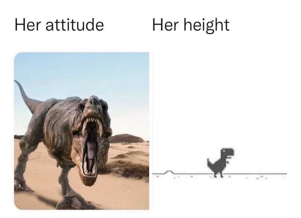 Her attitude Her height