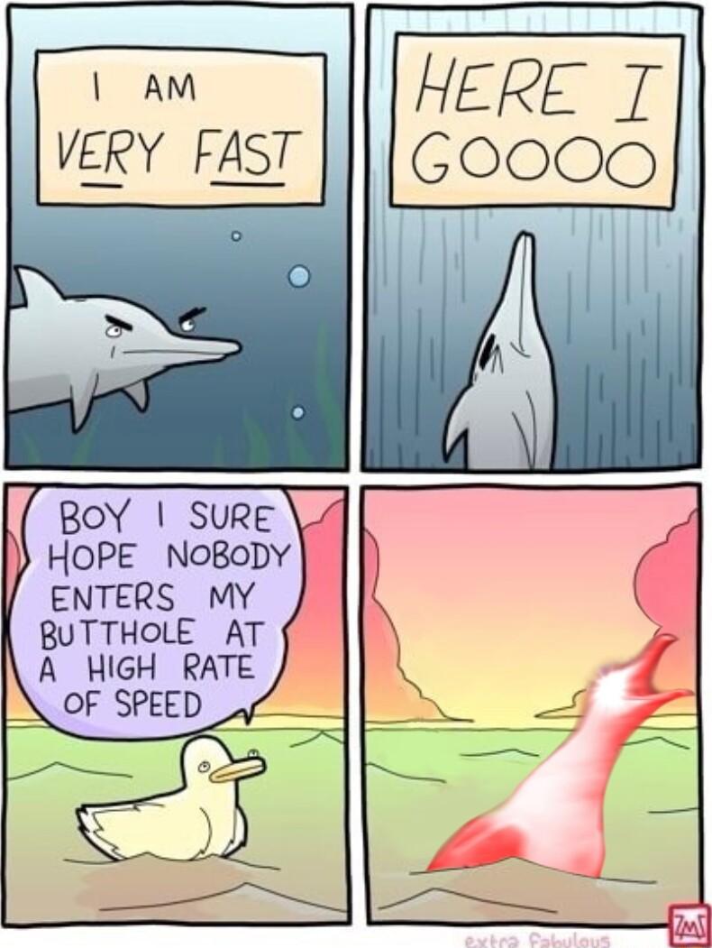 BUTTHOLE AT A MiGH RATE OF SPEED v