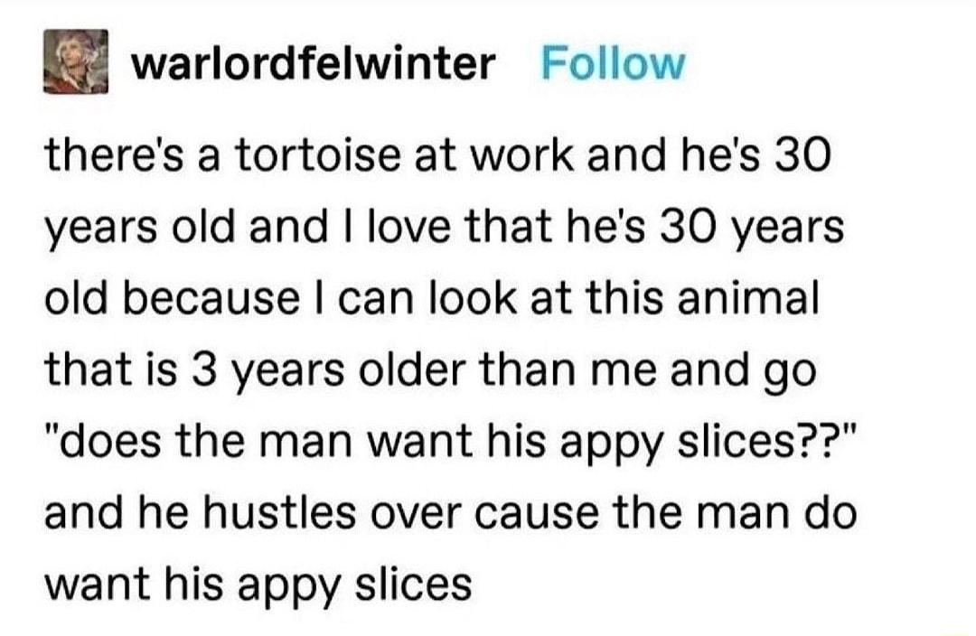 4 warlordfelwinter Follow theres a tortoise at work and hes 30 years old and love that hes 30 years old because can look at this animal that is 3 years older than me and go does the man want his appy slices and he hustles over cause the man do want his appy slices