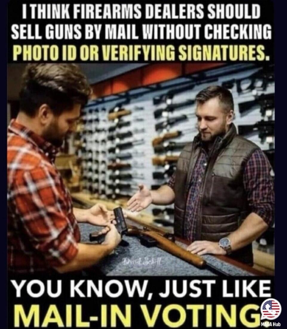 I THINK FIREARMS DEALERS SHOULD SELL GUNS BY MAIL WITHOUT CHECKING PHOTO ID OR VERIFYING SIGNATURES. YOU KNOW, JUST LIKE MAIL-IN VOTING