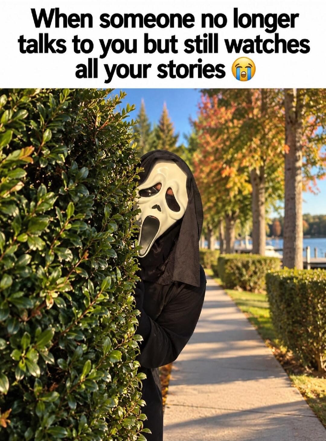 When someone no longer talks to you but still watches all your stories 😭