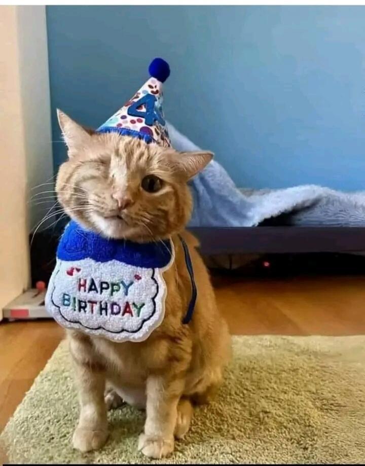 A ginger cat wearing a party hat with the number 4 and a bib that says 'HAPPY BIRTHDAY' is winking.