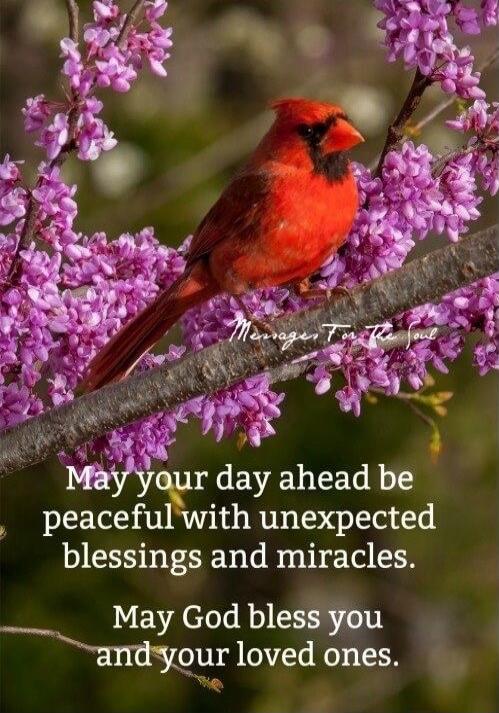 Messages For The Soul May your day ahead be peaceful with unexpected blessings and miracles. May God bless you and your loved ones.