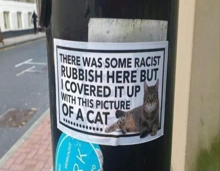 There was some racist rubbish here but I covered it up with this picture of a cat
