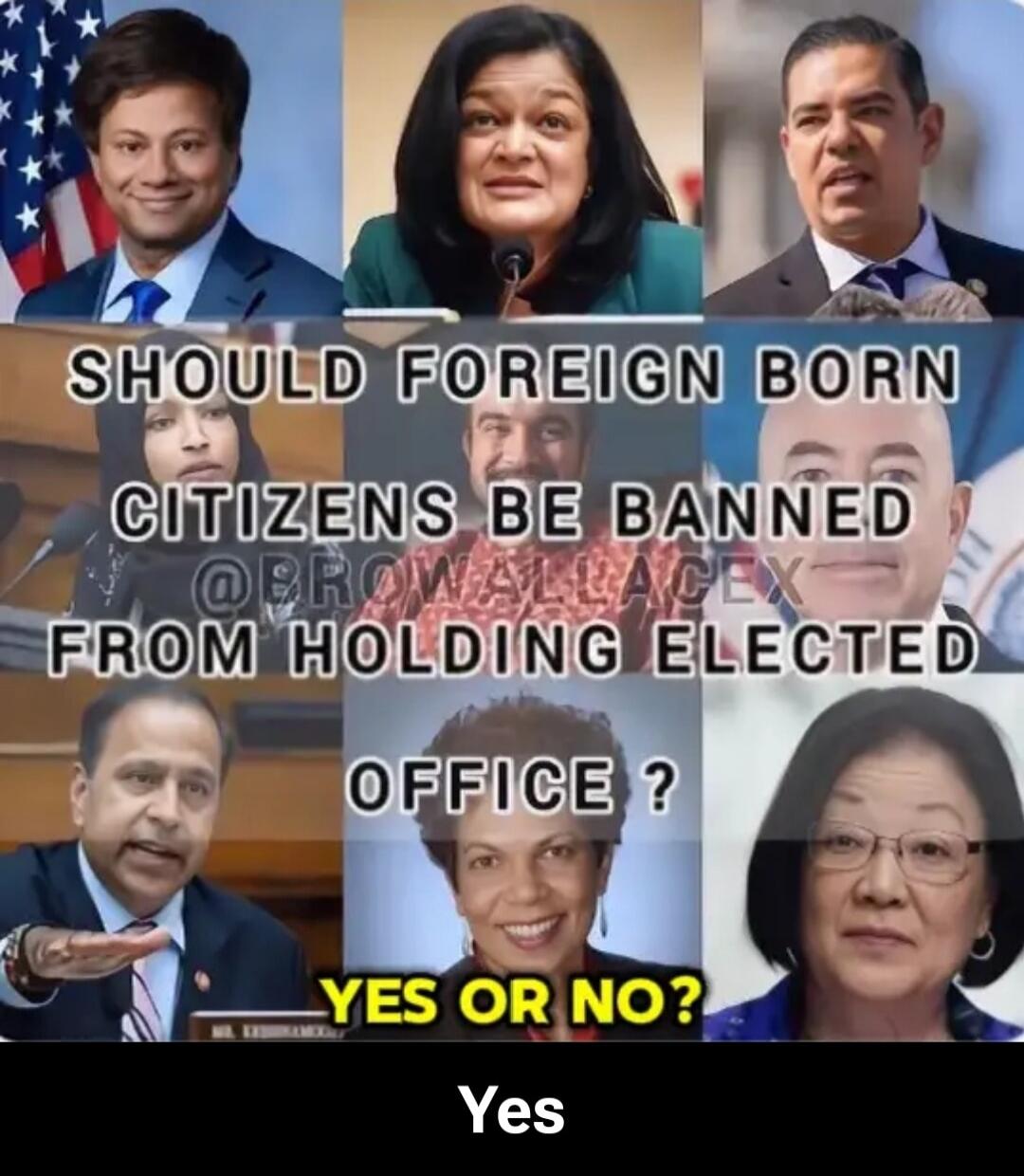 SHOULD FOREIGN BORN CITIZENS BE BANNED FROM HOLDING ELECTED OFFICE? YES OR NO? Yes