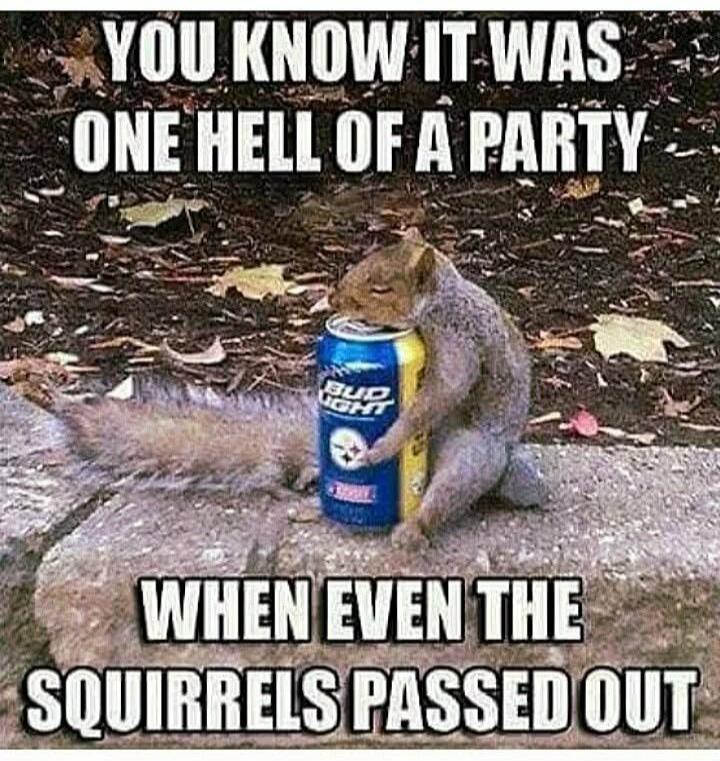 YOU KNOW IT WAS ONE HELL OF A PARTY WHEN EVEN THE SQUIRRELS PASSED OUT BUD LIGHT