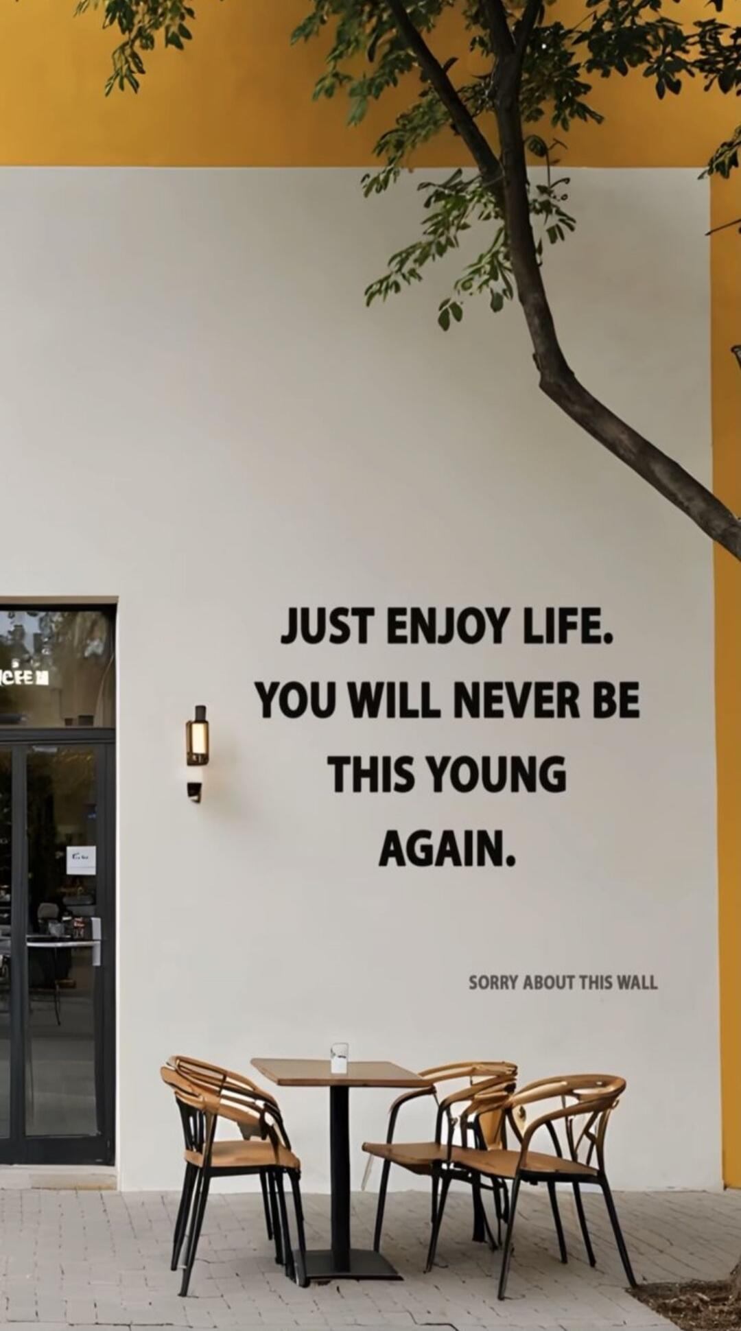 JUST ENJOY LIFE. YOU WILL NEVER BE THIS YOUNG AGAIN. SORRY ABOUT THIS WALL