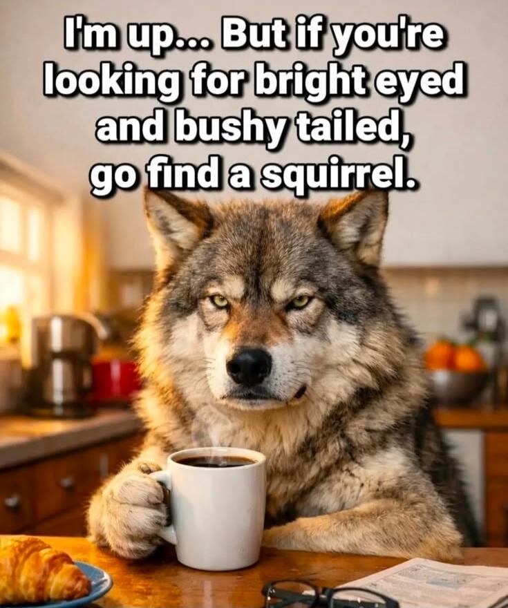 I'm up... But if you're looking for bright eyed and bushy tailed, go find a squirrel.