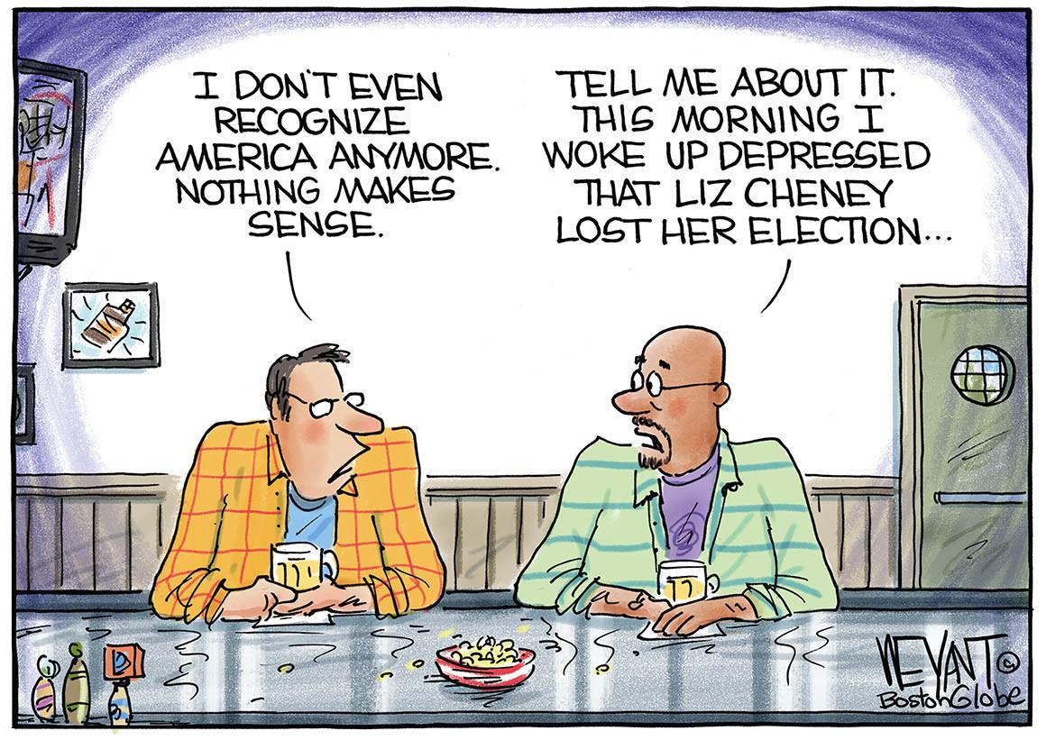 TELL ME ABOVT IT 1 THIS MORNING T 7 ANERCAANNORE WOKE UPDEPRESSED A NOTHING MAKES THAT LIZ CHENEY SENGE LOST HER ELECTION